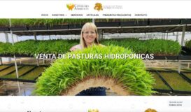 Fundaci&oacute;n Consumo y Ambiente - (Fundaci&oacute;n/Medio ambiente) ➡️ 🌐